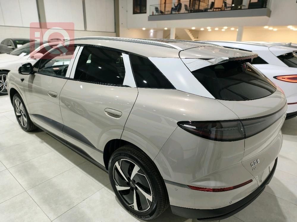 بي واي دي سيليون 06 DM-i